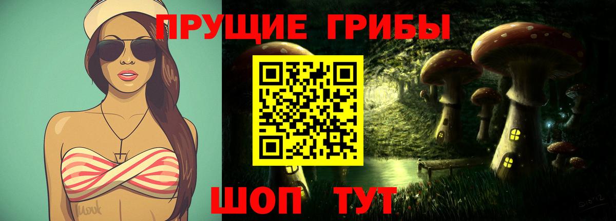Галлюциногенные грибы Psilocybine cubensis  Вход с VPN  Лесозаводск 